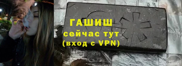 гашик Алексин