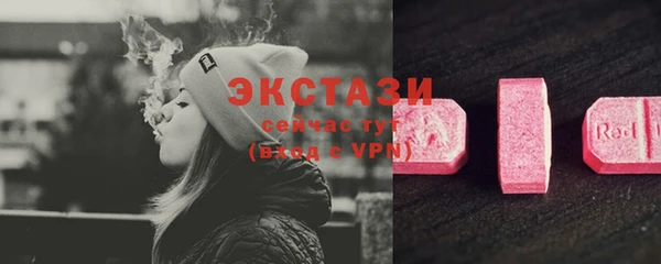 гашик Алексин