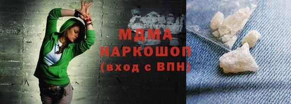 гашик Алексин